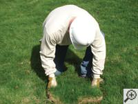 Restoring the landscaping by replacing removed sod on the ground for a Oshawa home.