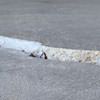 Slab floor cracks showing in a Aurora home