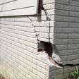 foundation walls cracked due to settlement in Toronto