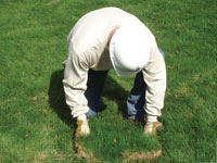 Restoring the landscaping by replacing removed lawn sections for a Vaughan home.